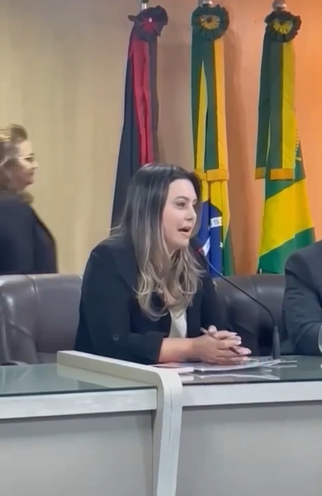 Waléria  Assunção questiona pedido de suplementação vindo do executivo